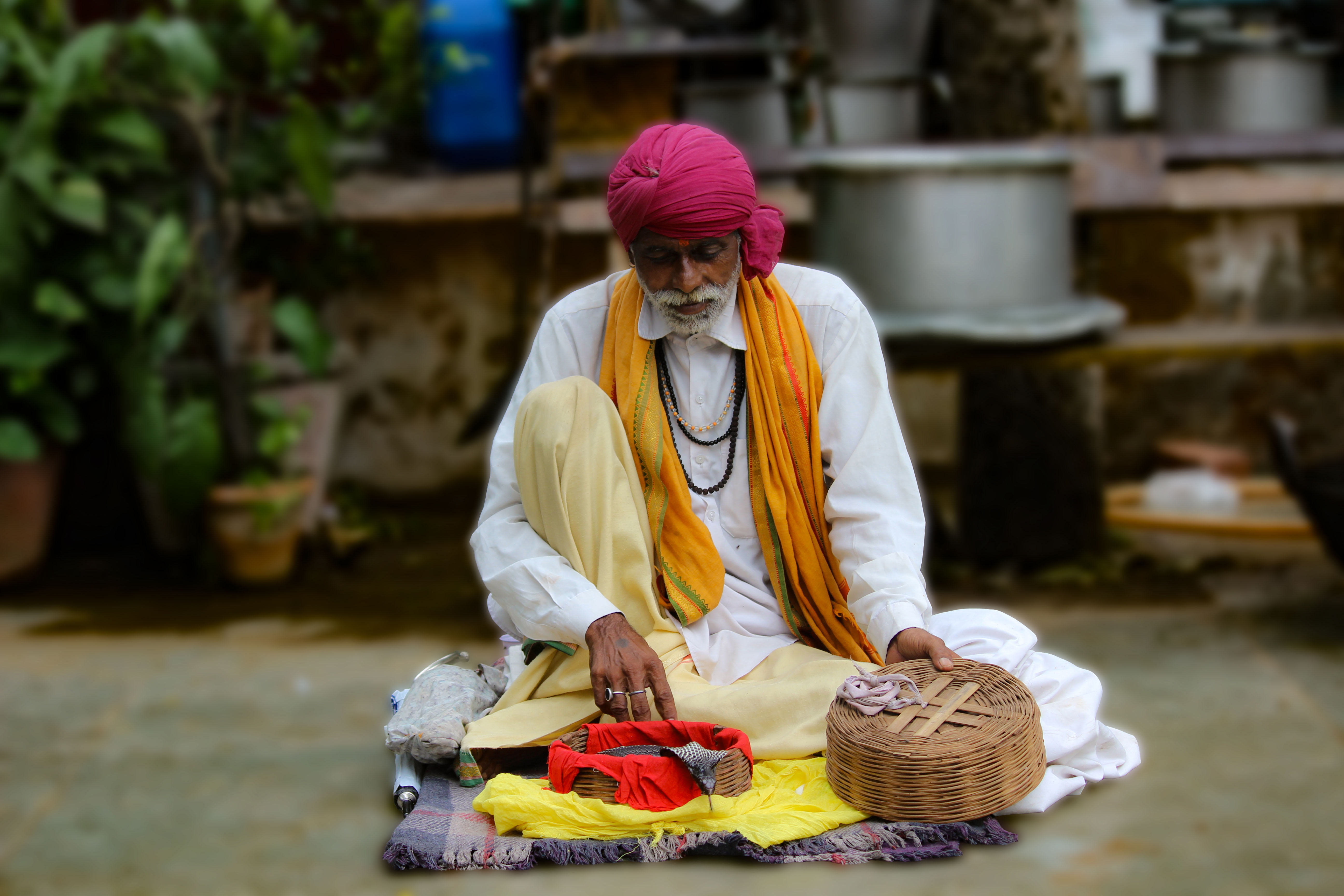 Snake Charmer